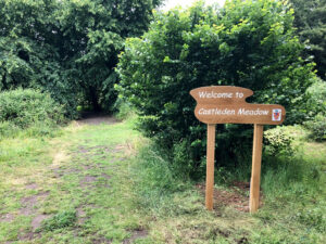 Dunmow - Castleden Meadow