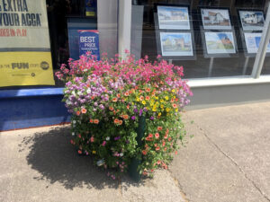 Dunmow - Town Flowers